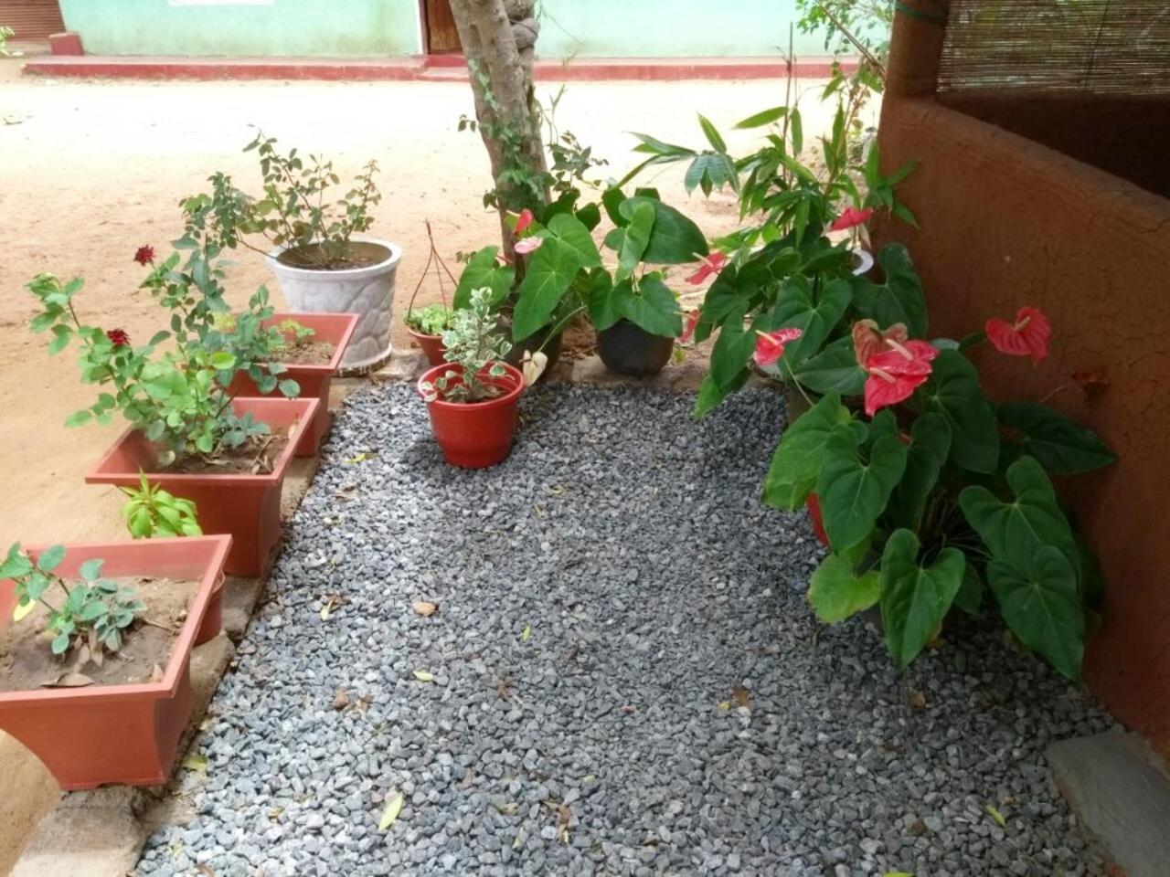 Pawansa Home Stay Habarana Exterior photo