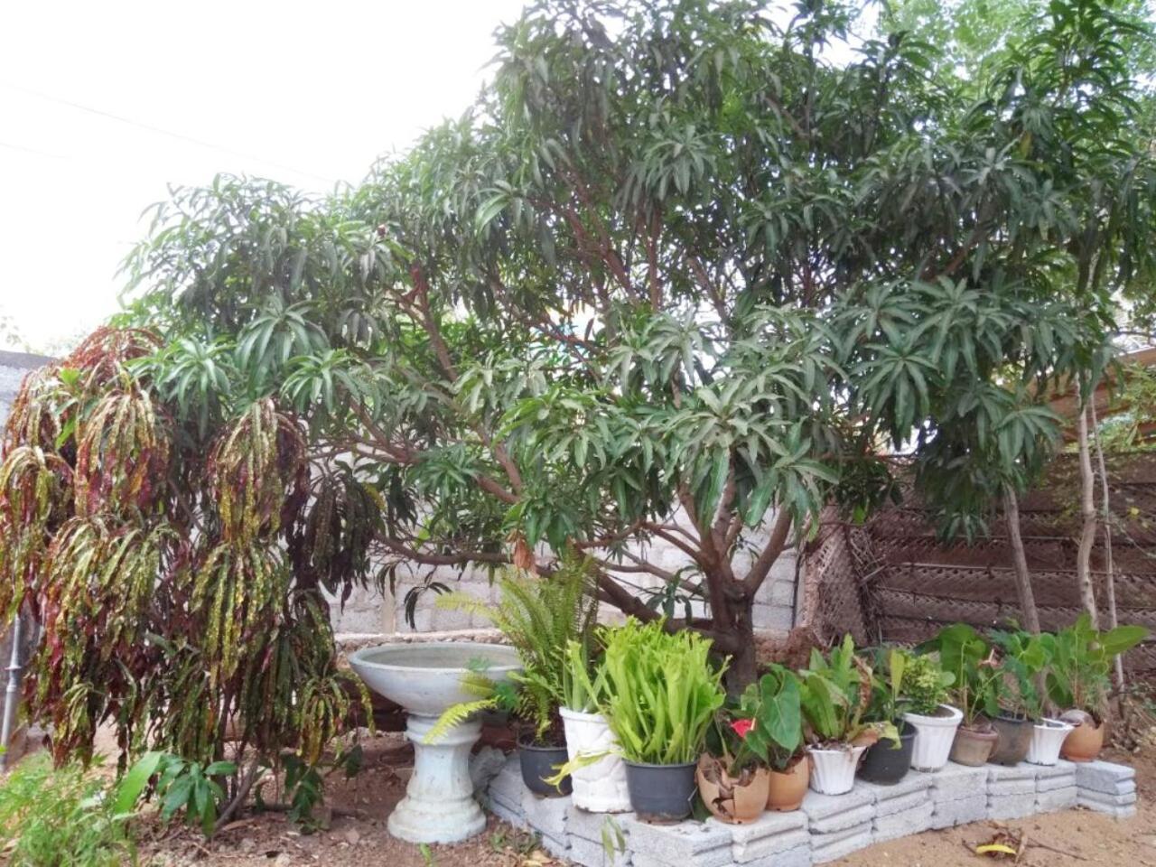 Pawansa Home Stay Habarana Exterior photo
